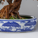 Genuine Multiple-Quartz Bonsai Tree in Oval Ceramic Pot 14”