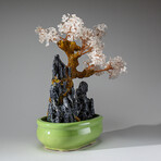 Genuine Quartz Bonsai Tree in Oval Ceramic Pot 12”