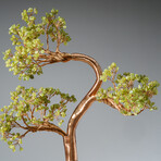 Genuine Peridot Bonsai Gemstone Tree on Flourite Base (12”)