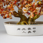 Genuine Carnelian Bonsai Gemstone Tree in Oval Ceramic Pot 8”