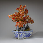 Genuine Carnelian Bonsai Gemstone Tree in Square Ceramic Pot 15”