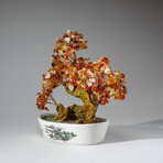 Genuine Carnelian Bonsai Gemstone Tree in Oval Ceramic Pot 9”