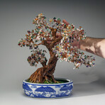 Genuine Multiple-Quartz Bonsai Tree in Oval Ceramic Pot 14”