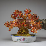 Genuine Carnelian Bonsai Gemstone Tree in Oval Ceramic Pot 11”