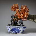 Genuine Carnelian Bonsai Gemstone Tree in Square Ceramic Pot 13”