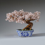 Genuine Rose Quartz Bonsai Tree in Square Ceramic Pot 11”