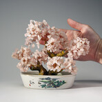Genuine Rose Quartz Bonsai Tree in Oval Ceramic Pot 7”