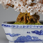 Genuine Quartz Bonsai Tree in Square Ceramic Pot 12”