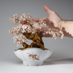 Genuine Rose Quartz Bonsai Tree in Oval Ceramic Pot 8”