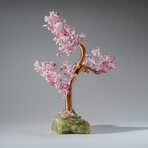 Genuine Rose Quartz Bonsai Gemstone Tree on Flourite Base (12”)