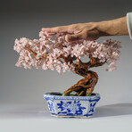 Genuine Rose Quartz Bonsai Tree in Square Ceramic Pot 11”