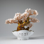 Genuine Rose Quartz Bonsai Tree in Oval Ceramic Pot 8”