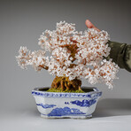 Genuine Quartz Bonsai Tree in Square Ceramic Pot 12”