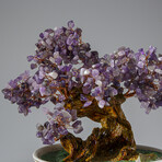 Genuine Amethyst Bonsai Gemstone Tree in Round Ceramic Pot 7”