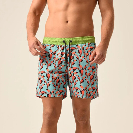 Regular Fit Swim Shorts Tucans Print // Mint + Green (S)