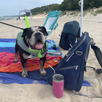 Playamigo Portable Beach Recliner // Navy