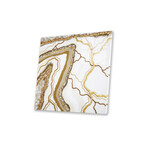 La Llegada De Perseo Part II Print on Acrylic Glass by Goga Studio (24"H x 24"W x 0.25"D)