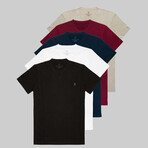 Set of 5 // Crewneck Regular Fit T-Shirts // Beige + Burgundy + Navy + White + Black (2XL)