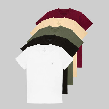 Set of 5 // Crewneck Regular Fit T-Shirts // Burgundy + Tan + Olive + Black + White (S)