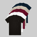 Set of 5 // Crewneck Regular Fit T-Shirts // Navy + Beige + Burgundy + White + Black (L)