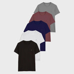 Set of 5 // Crewneck Regular Fit T-Shirts // Gray + Brick + Royal Blue + White + Black (L)