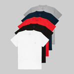 Set of 5 // Crewneck Regular Fit T-Shirts // Gray +Indigo + Red + Black + White (L)