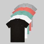 Set of 5 // Crewneck Regular Fit T-Shirts // Gray + Salmon + Turquoise + White + Black (S)