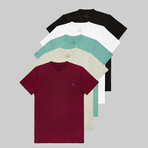 Set of 5 // Crewneck Regular Fit T-Shirts // Black + White + Turquoise + Beige + Burgundy (XL)