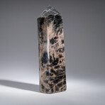 Genuine Polished Black Moonstone Point