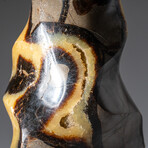 Genuine Polished Septarian Flame Freeform from Madagascar