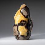 Genuine Polished Septarian Flame Freeform from Madagascar