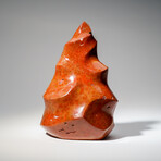 Genuine Polished Petrified Wood Flame Freeform From Madagascar