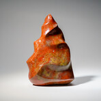 Genuine Polished Petrified Wood Flame Freeform From Madagascar