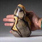 Genuine Polished Septarian Flame Freeform from Madagascar