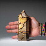 Genuine Polished Septarian Point from Madagascar