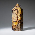 Genuine Polished Septarian Point from Madagascar