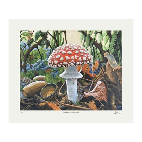 "Amanita Muscaria" Limited of 77 Art Print by Ryan Lewis