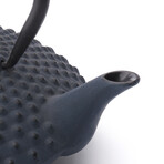 Teapot Cast Iron  XILIN //42 fl oz (Blue)