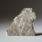Genuine Natural Muonionalusta Meteorite Slice in Acrylic Display v.1
