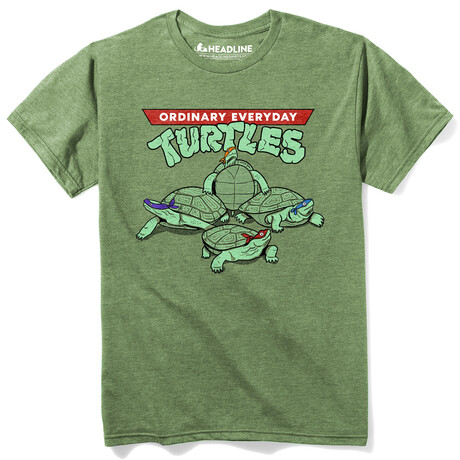 Ordinary Everyday Turtles (XS)