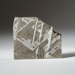 Genuine Natural Muonionalusta Meteorite Slice in Acrylic Display v.4