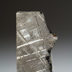 Genuine Natural Muonionalusta Meteorite Slice in Acrylic Display v.9