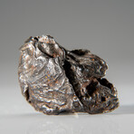 Genuine Natural Sikhote-Alin Meteorite from Russia in Display Box v.3