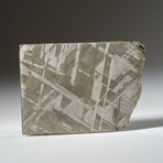 Genuine Natural Muonionalusta Meteorite Slice in Acrylic Display v.6