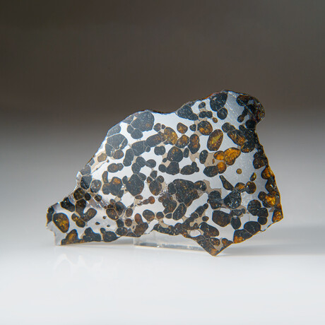 Genuine Natural Seymchan Pallasite Meteorite Slab in Display Box v.3