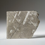 Genuine Natural Muonionalusta Meteorite Slice in Acrylic Display v.7