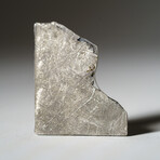 Genuine Natural Muonionalusta Meteorite Slice in Acrylic Display v.2