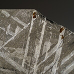 Genuine Natural Muonionalusta Meteorite Slice in Acrylic Display v.8