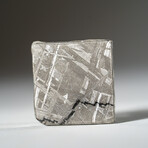 Genuine Natural Muonionalusta Meteorite Slice in Acrylic Display v.5