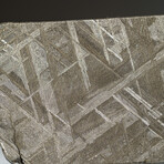 Genuine Natural Muonionalusta Meteorite Slice in Acrylic Display v.6